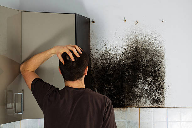Best Crawl Space Mold Removal  in Fairview, TX